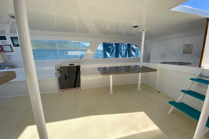 Maui Premium Sunset Dinner Cruise from Ka’anapali Beach - Buffet dinner and the open bar