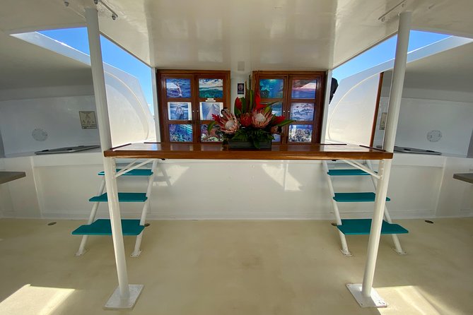 Maui Premium Sunset Dinner Cruise from Ka’anapali Beach - Who should book this cruise?