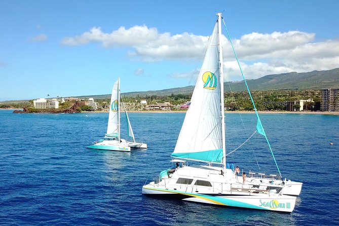 Maui Premium Sunset Dinner Cruise from Ka’anapali Beach - Winter turns dinner into whale watching