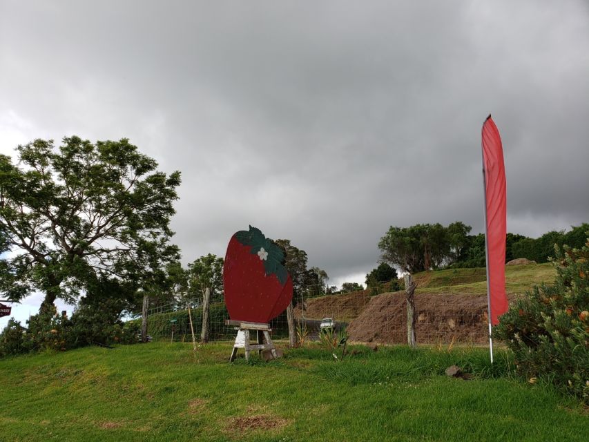Maui: Road to Hana Adventure with Breakfast & Lunch - Hana, roadside farms, and optional stops
