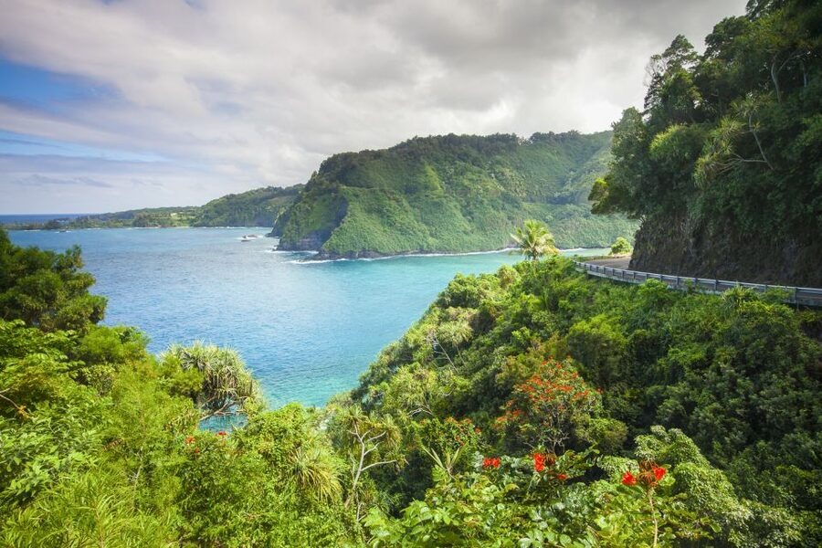 Maui: Small-Group Road to Hāna Sightseeing Tour - Comfort, motion, and practical limits