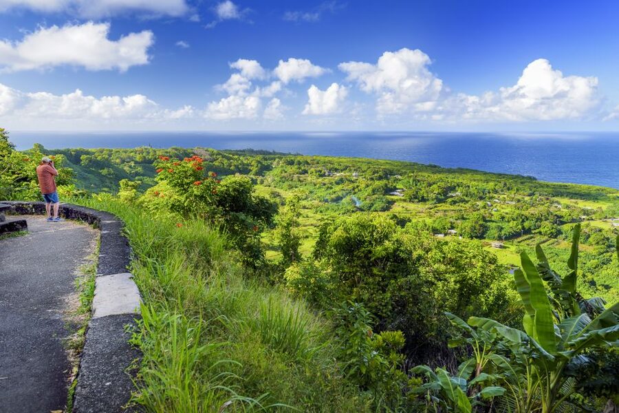 Maui: Small-Group Road to Hāna Sightseeing Tour - Why letting someone else drive makes sense
