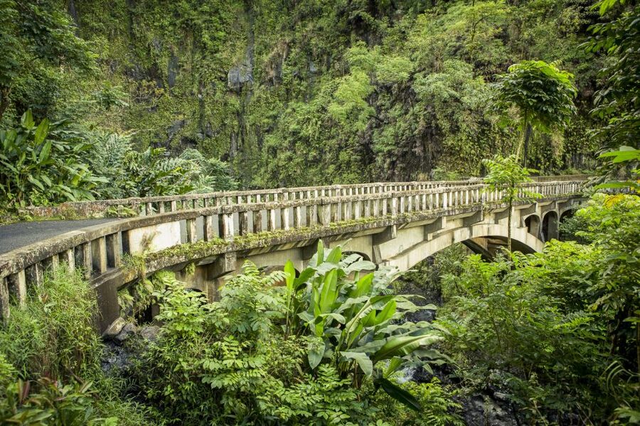 Maui: Small-Group Road to Hāna Sightseeing Tour - Rainforest, waterfalls, and Keanae