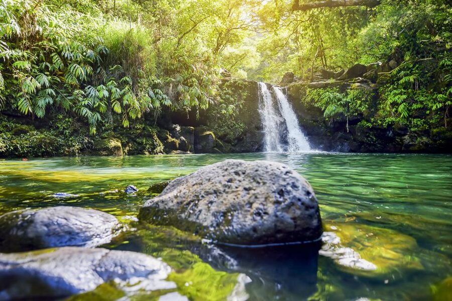 Maui: Small-Group Road to Hāna Sightseeing Tour - A generous lunch, not just a packed sandwich