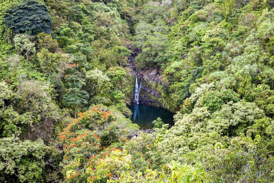 Maui: Small-Group Road to Hāna Sightseeing Tour - What the eight-hour promise really means