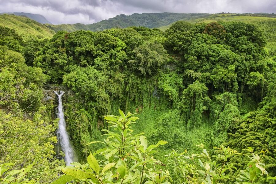 Maui: Small-Group Road to Hāna Sightseeing Tour - Your early start, fruit, and pastries