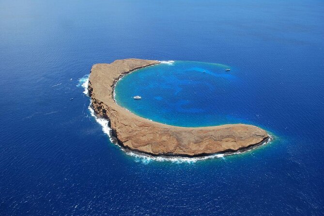 Maui Snorkeling Adventure From Ma'alaea Harbor to Molokini - Key things to know before booking