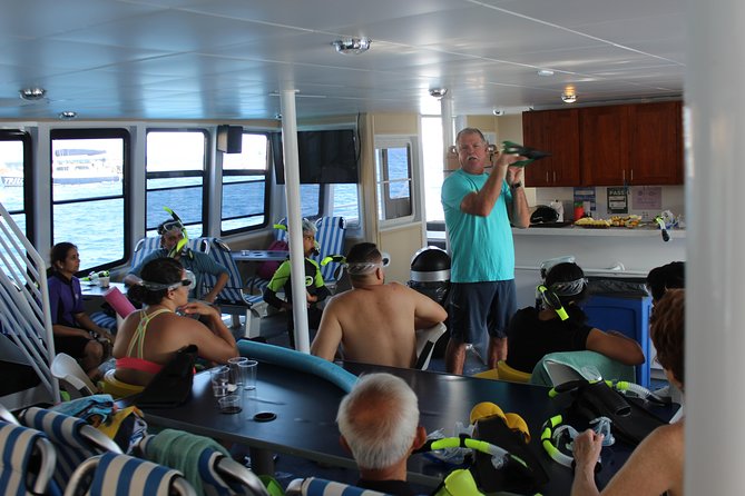 Maui Snorkeling Adventure From Ma'alaea Harbor to Molokini - Molokini Crater: fish, volcanic walls, and open-water conditions