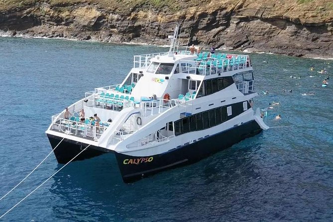 Maui Snorkeling Adventure From Ma'alaea Harbor to Molokini - Ma’alaea Harbor check-in at 6:45 a.m.