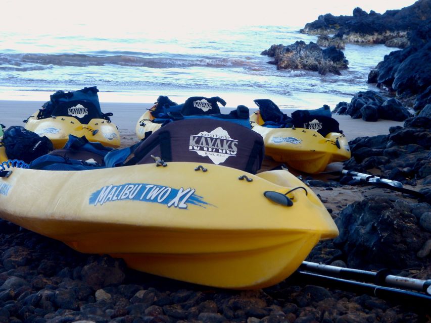 Maui: Turtle Town Kayak and Snorkel Tour - What the $120 price includes