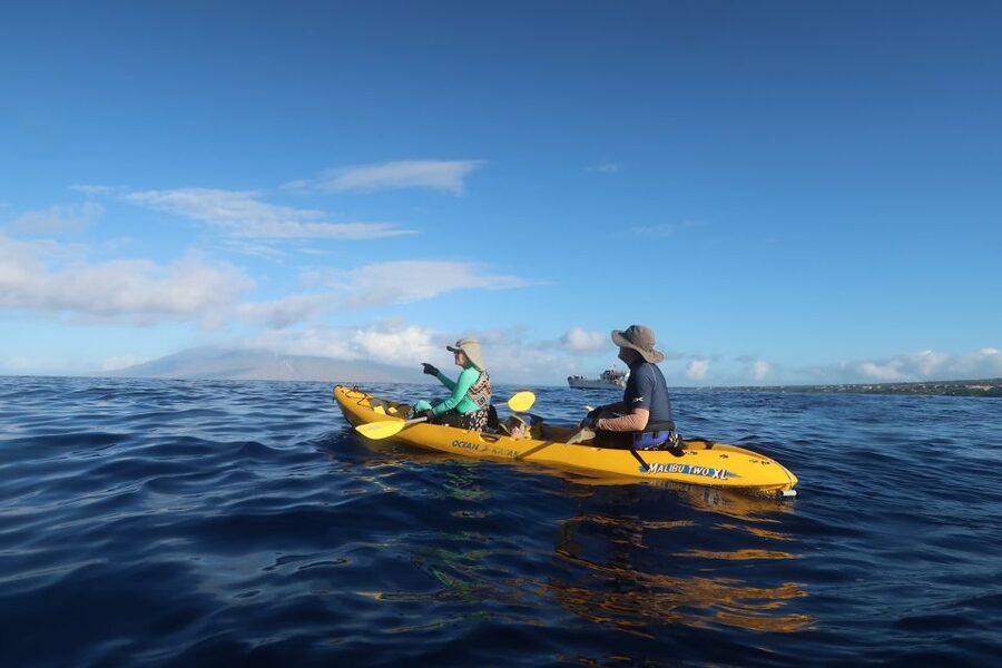 Maui: Turtle Town Kayak and Snorkel Tour - Snorkeling around Makena Bay