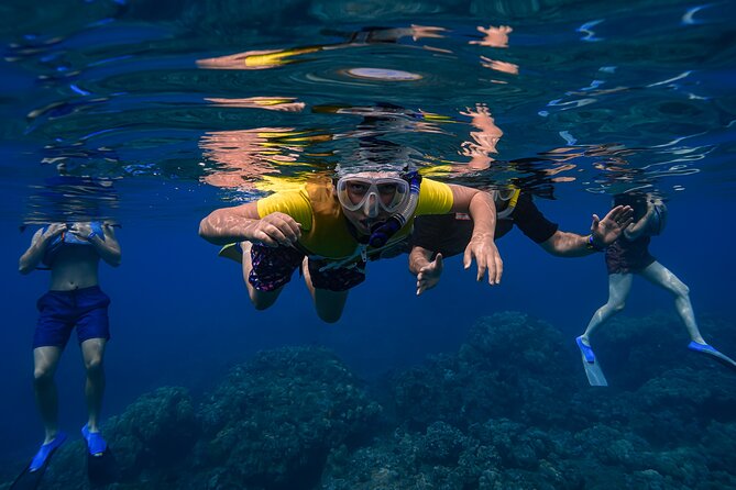 Maui: Turtle Town Snorkel with Photo and Video - Photos, video, and the value of $129