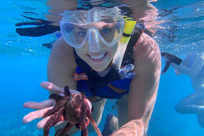 Maui: Turtle Town Snorkel with Photo and Video - Weather changes and communication