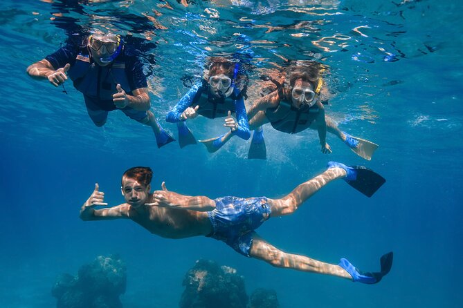 Maui: Turtle Town Snorkel with Photo and Video - Who should book this Maui snorkel
