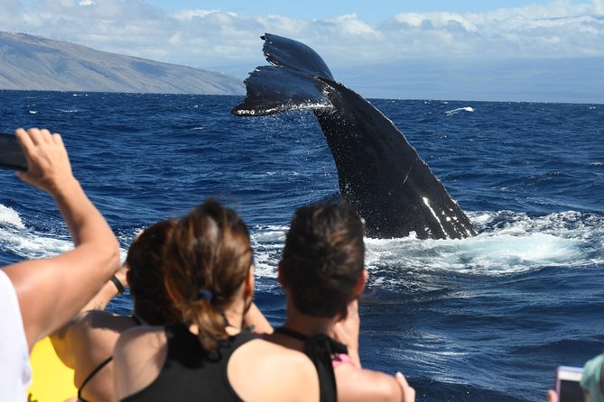 Maui: Ultimate Whale Watch from Lahaina - Hearing whales through the onboard hydrophone