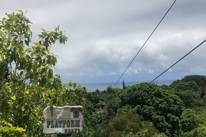 Maui Zipline Eco Adventure: 8 Lines through the Jungle - Eight lines through Haiku’s tropical grounds