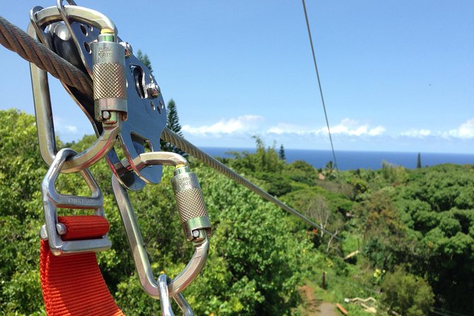 Maui Zipline Eco Adventure: 8 Lines through the Jungle - Why the bridges matter