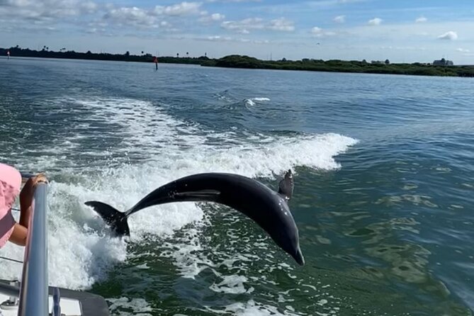 Mega Bite Dolphin Tour Boat in Clearwater Beach - Clearwater views fill the gaps between sightings