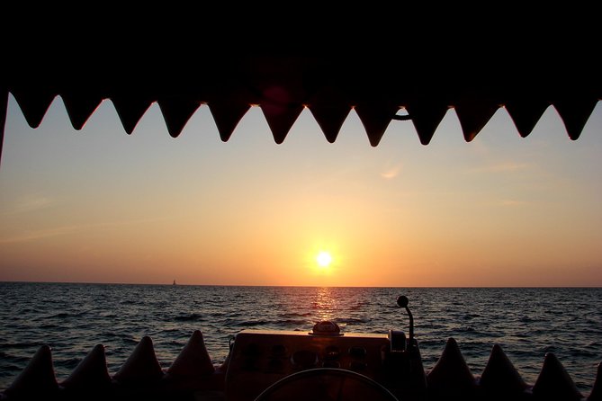 Mega Bite Dolphin Tour Boat in Clearwater Beach - Smart timing and packing advice