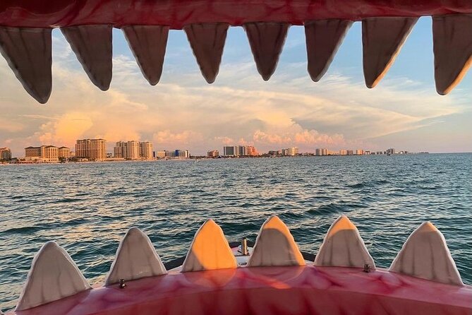 Mega Bite Dolphin Tour Boat in Clearwater Beach - What happens during the one-hour route