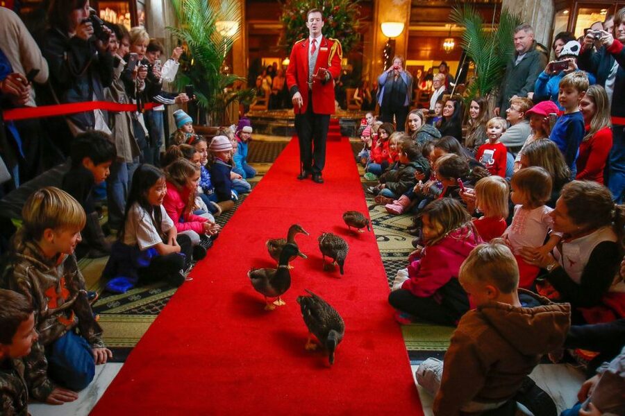 Memphis: City Tour with Optional Sun Studios & Riverboat - The Peabody ducks and a grand hotel lobby