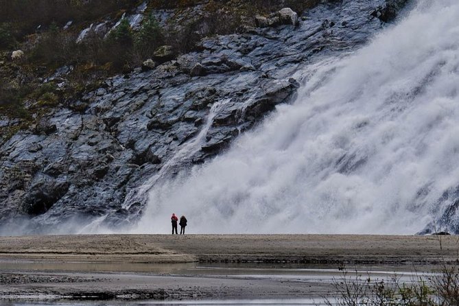 Mendenhall Glacier Trolley Tour - Who will get the most from this tour