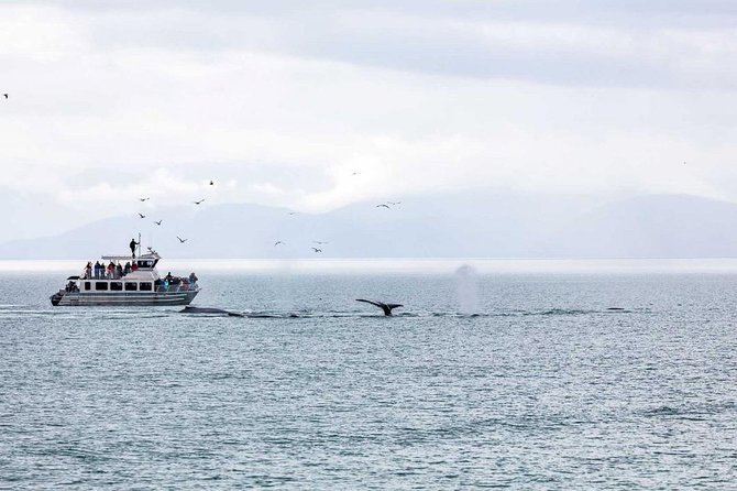 Mendenhall Glacier Visitor Center and Ultimate Whale Watch Combo - Morning and afternoon schedules work differently
