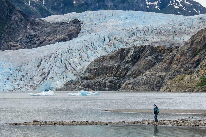 Mendenhall Glacier Visitor Center and Ultimate Whale Watch Combo - Delays are the main practical concern