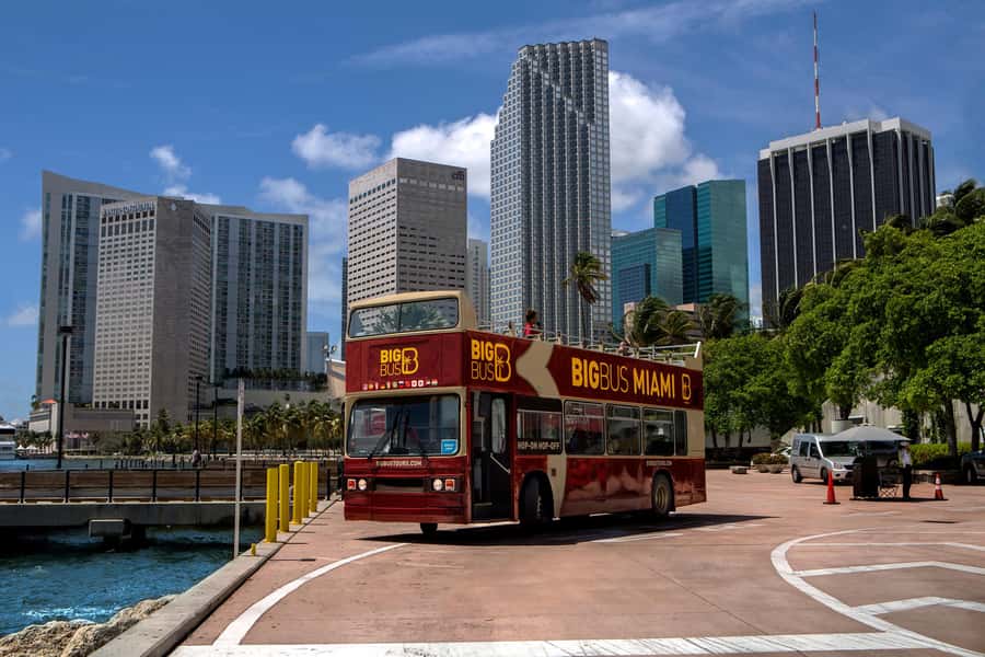 Miami: Everglades Experience, Bay Cruise & Open-Top Bus Tour - Value, comfort, and who should book