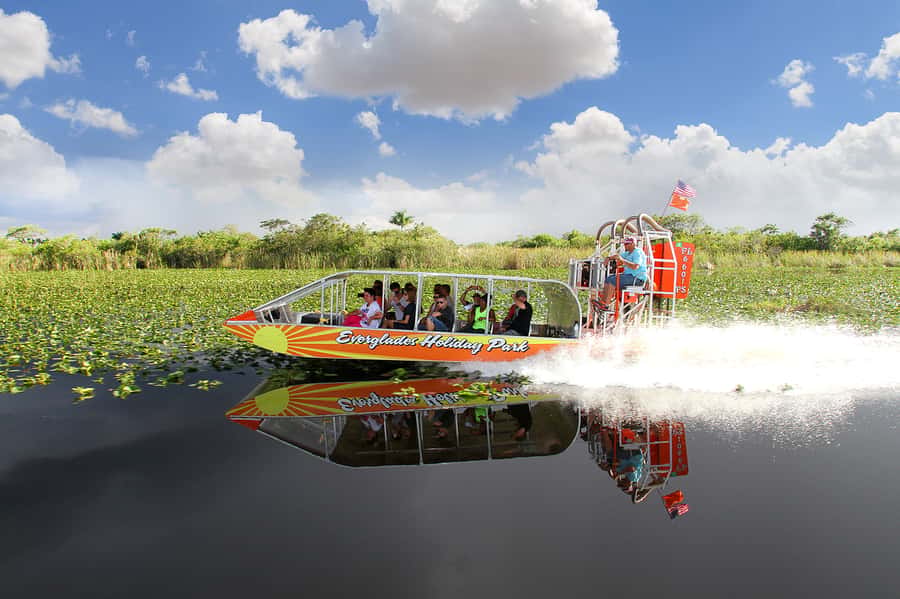 Miami: Everglades Experience, Bay Cruise & Open-Top Bus Tour - Should you book this Miami combination?
