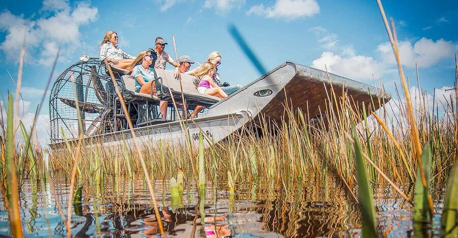 Miami: Everglades National Park Airboat Tour & Wildlife Show - The airboat is the main event