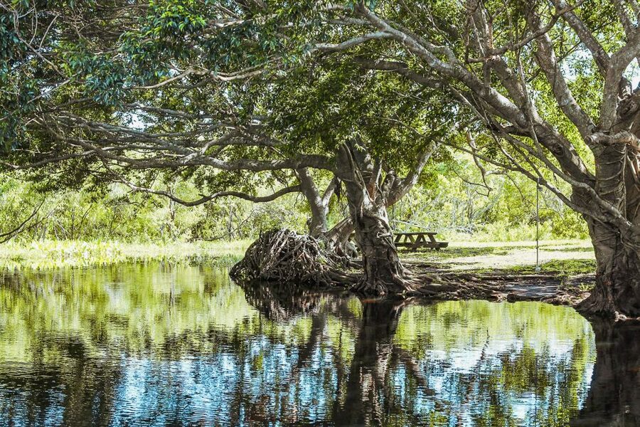 Miami: Everglades National Park Airboat Tour & Wildlife Show - A few smart ways to prepare