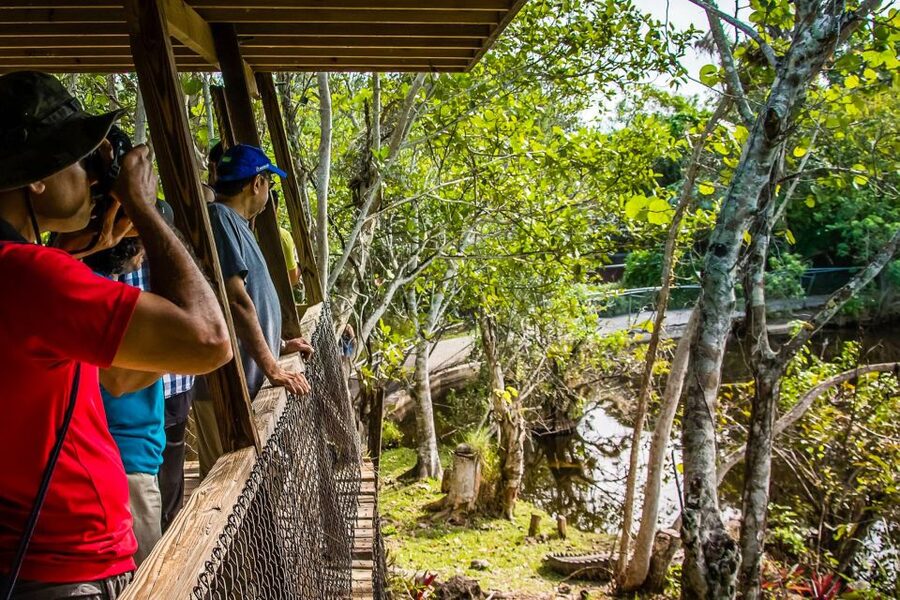 Miami: Everglades Safari Park Airboat Tour - Timing, crowds, and comfort