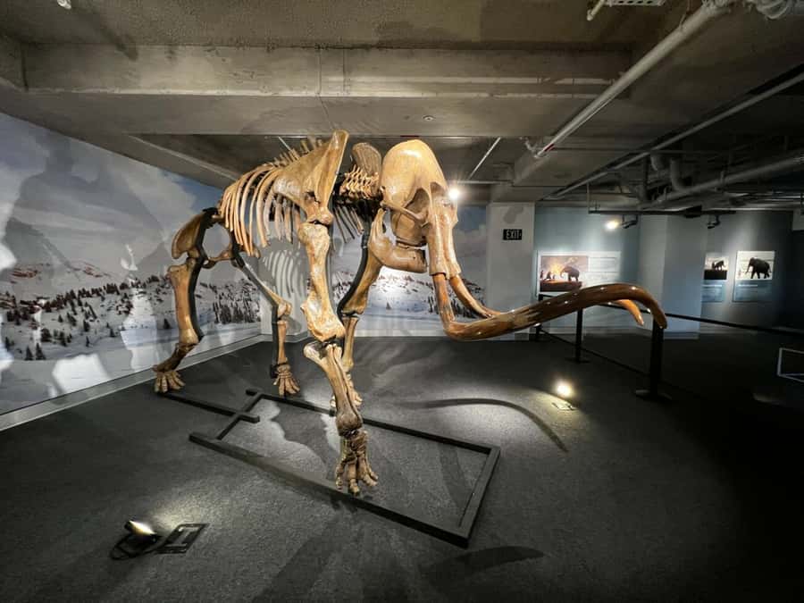 Miami: Frost Museum of Science and Planetarium Entry Ticket - Who should book this experience?