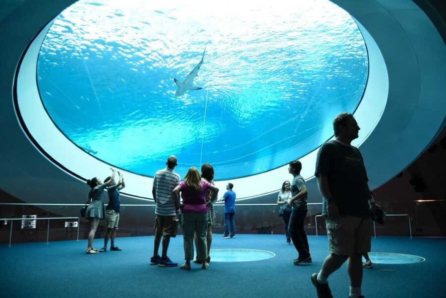 Miami: Frost Museum of Science and Planetarium Entry Ticket - Build a three-hour plan without rushing