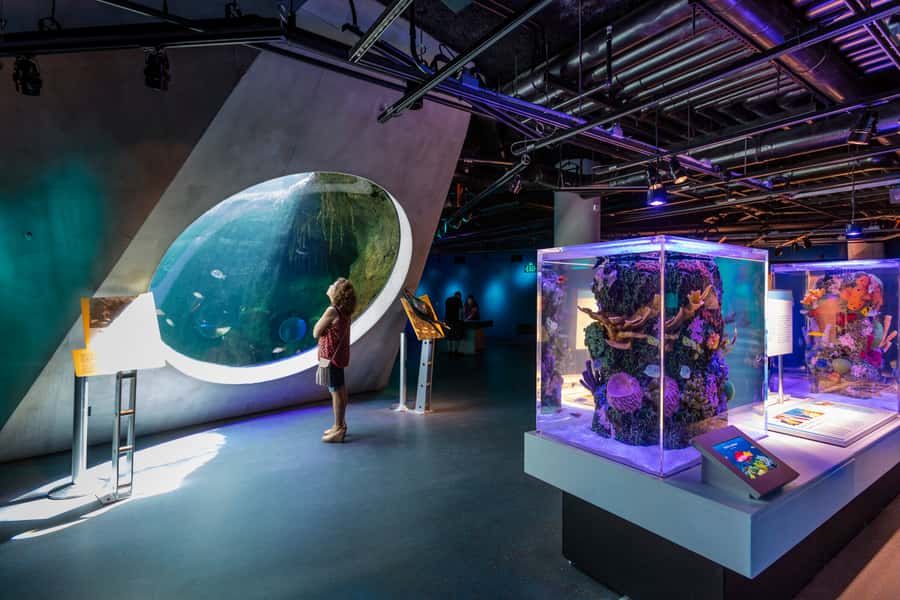 Miami: Frost Museum of Science and Planetarium Entry Ticket - What the $30 ticket is really worth