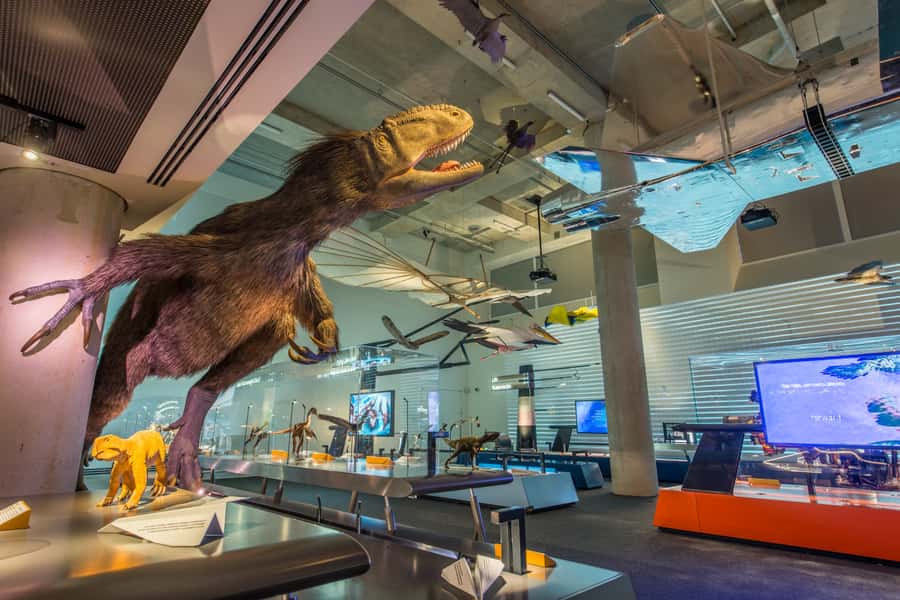 Miami: Frost Museum of Science and Planetarium Entry Ticket - Start with the three-level aquarium