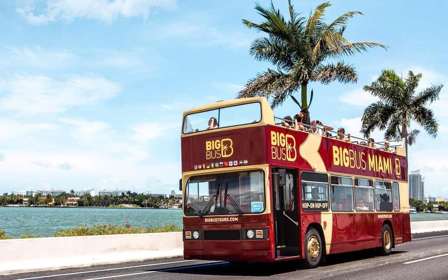 Miami: Hop-on Hop-off Open-top Bus Tour and Optional Cruise - Key points to know before you go