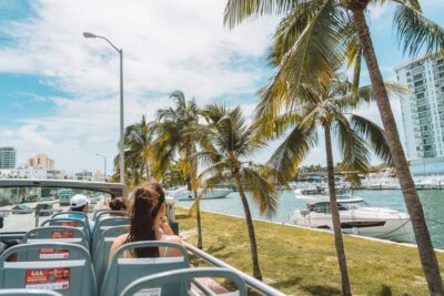 Hop-on Hop-off Open-top Bus Tour and Optional Cruise