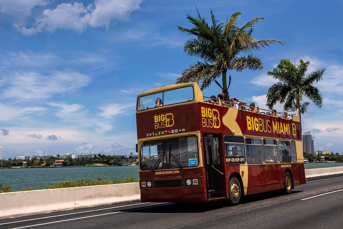 Miami: Hop-on Hop-off Tour + Cruise & Free 1-Hour Bike Rental - South Beach brings the Art Deco core