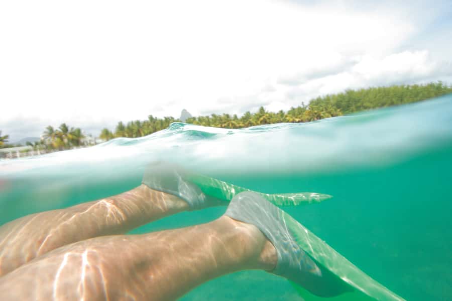 Miami: Key West Dolphin Watch or Snorkel Boat with pickup - Who Will Enjoy This Key West Day