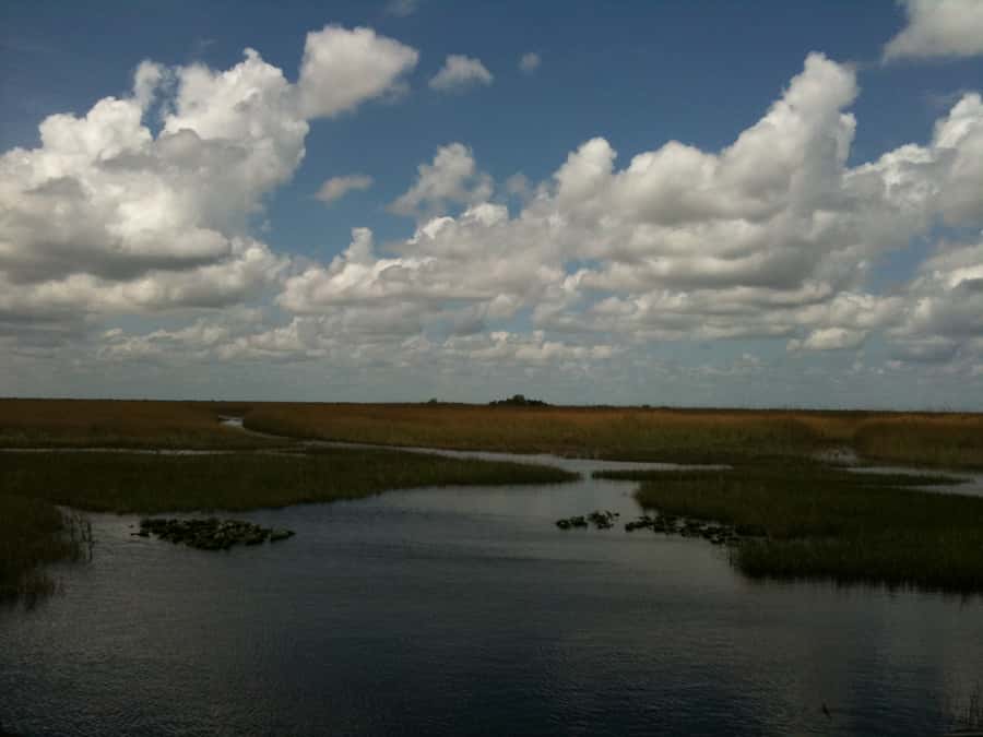 Miami: Original Everglades Airboat Tour & Interpretive area - Jojo, the alligator exhibit, and the animal presentation