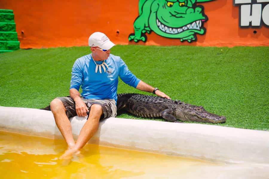 Miami: Wild Everglades Airboat Ride and Gator Encounters - Why this Miami Everglades trip works