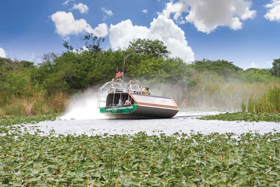 Miami: Wild Everglades Airboat Ride and Gator Encounters - What the one-hour airboat ride is really like
