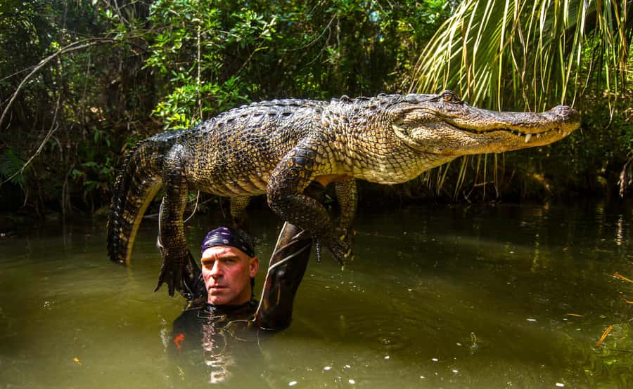 Miami: Wild Everglades Airboat Ride and Gator Encounters - Is $50 a good price?