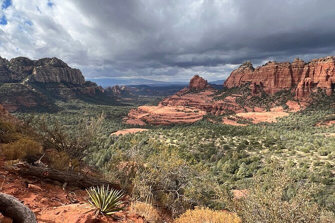 Mogollon Rim Run Supreme Jeep Tour from Sedona - Key things to know before booking