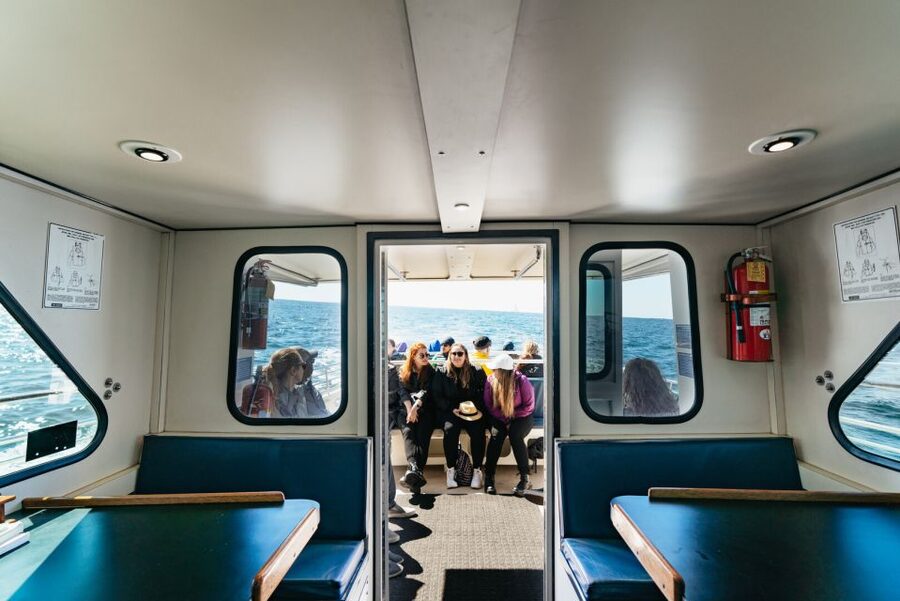 Monterey Bay: Whale Watching Tour - Who will enjoy this cruise most