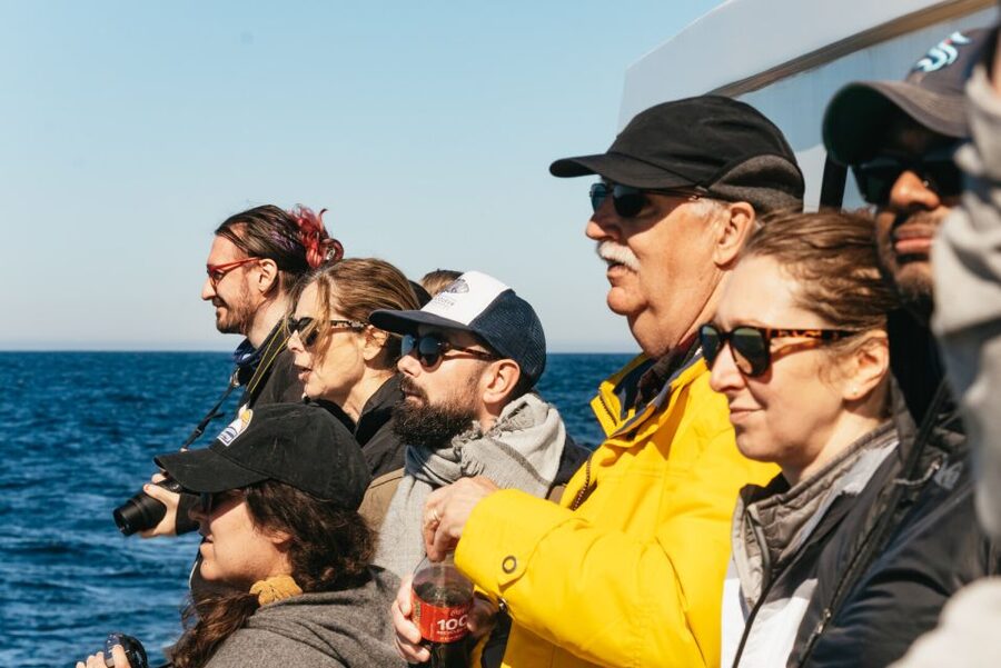 Monterey Bay: Whale Watching Tour - What you might see in summer and fall