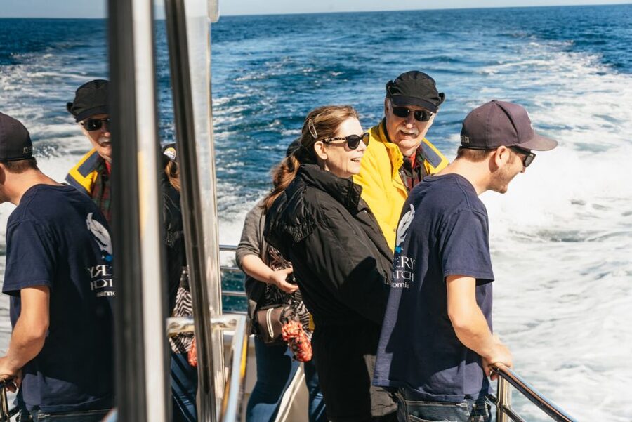 Monterey Bay: Whale Watching Tour - What changes in winter