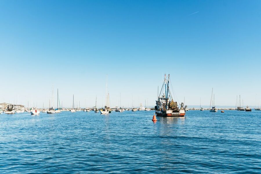 Monterey Bay: Whale Watching Tour - The guides make the difference